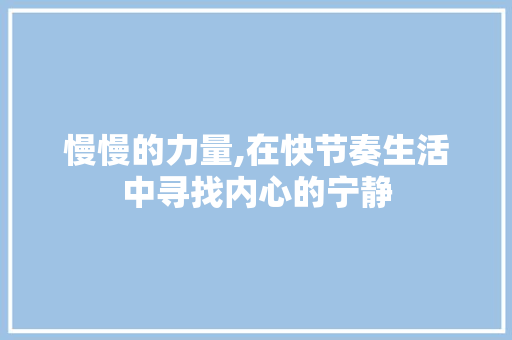 慢慢的力量,在快节奏生活中寻找内心的宁静