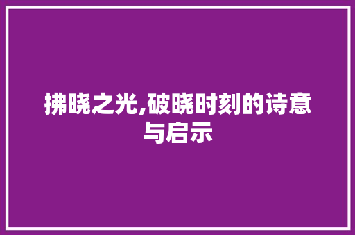 拂晓之光,破晓时刻的诗意与启示 项目管理范文
