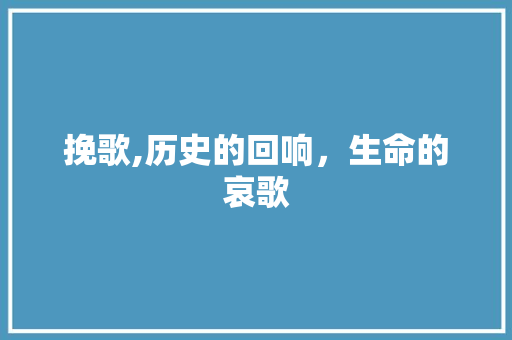 挽歌,历史的回响，生命的哀歌 财务报告范文