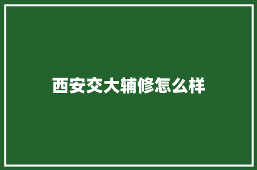 西安交大辅修怎么样 职场应用