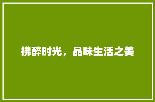拂醉时光，品味生活之美 诗句鉴赏