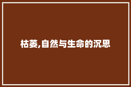 枯萎,自然与生命的沉思
