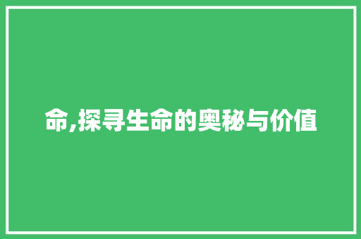命,探寻生命的奥秘与价值 财务报告范文