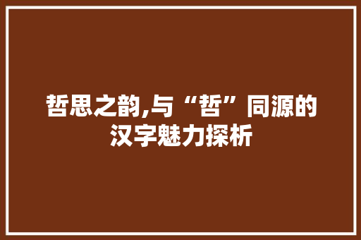 哲思之韵,与“哲”同源的汉字魅力探析