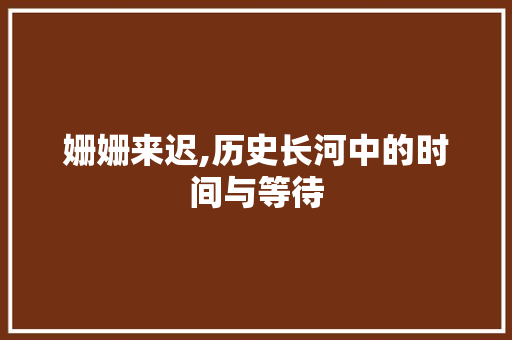 姗姗来迟,历史长河中的时间与等待