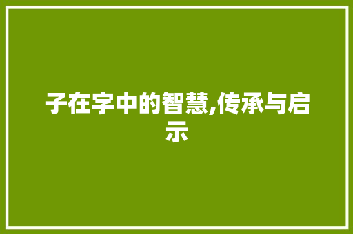 子在字中的智慧,传承与启示