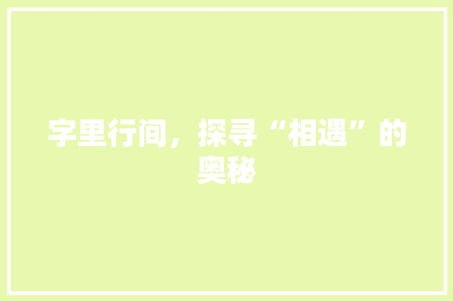 字里行间，探寻“相遇”的奥秘
