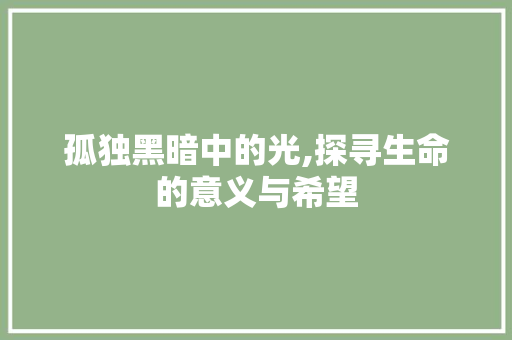 孤独黑暗中的光,探寻生命的意义与希望