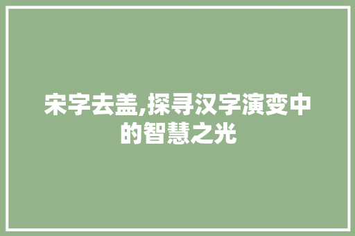 宋字去盖,探寻汉字演变中的智慧之光 科技报告范文