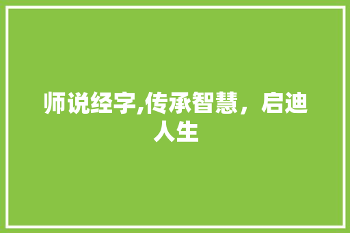 师说经字,传承智慧，启迪人生