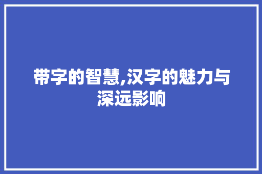 带字的智慧,汉字的魅力与深远影响
