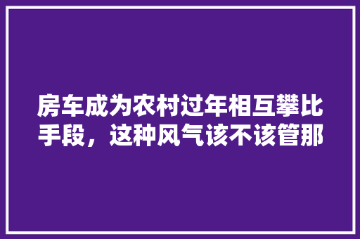 2024985保研学校排名