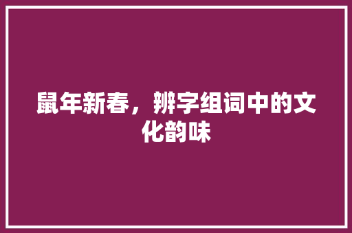 鼠年新春，辨字组词中的文化韵味
