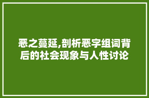 恶之蔓延,剖析恶字组词背后的社会现象与人性讨论