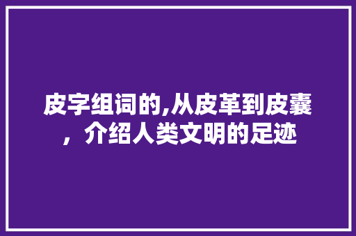 皮字组词的,从皮革到皮囊，介绍人类文明的足迹