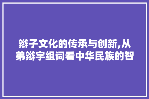 辫子文化的传承与创新,从弟辫字组词看中华民族的智慧 科技报告范文
