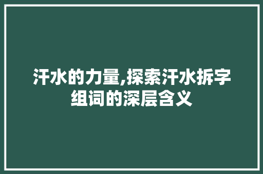 汗水的力量,探索汗水拆字组词的深层含义 财务报告范文