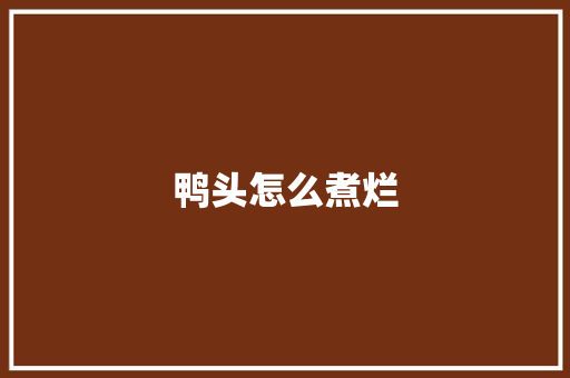 鸭头怎么煮烂