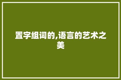 置字组词的,语言的艺术之美 演讲稿范文