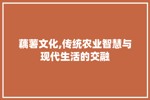 藕薯文化,传统农业智慧与现代生活的交融