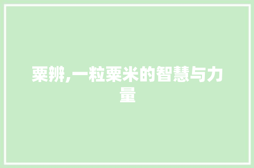粟辨,一粒粟米的智慧与力量 演讲稿范文