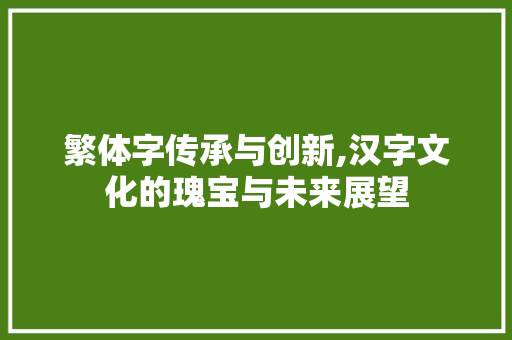 繁体字传承与创新,汉字文化的瑰宝与未来展望