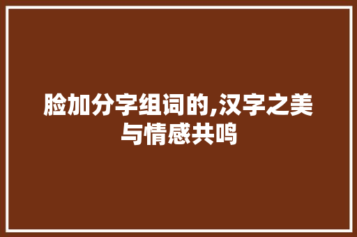 脸加分字组词的,汉字之美与情感共鸣
