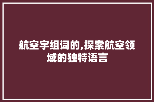 航空字组词的,探索航空领域的独特语言 科技报告范文