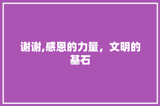 谢谢,感恩的力量，文明的基石
