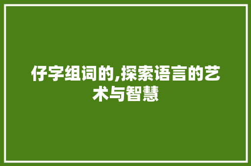 仔字组词的,探索语言的艺术与智慧