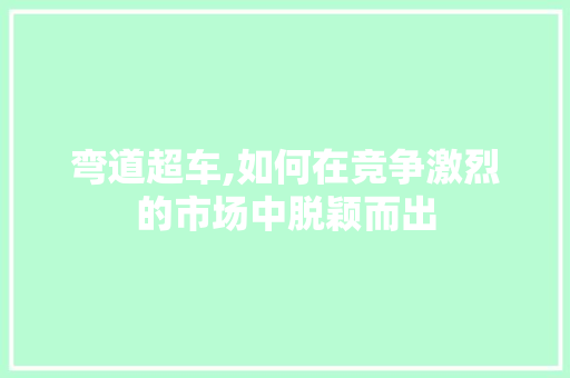 弯道超车,如何在竞争激烈的市场中脱颖而出