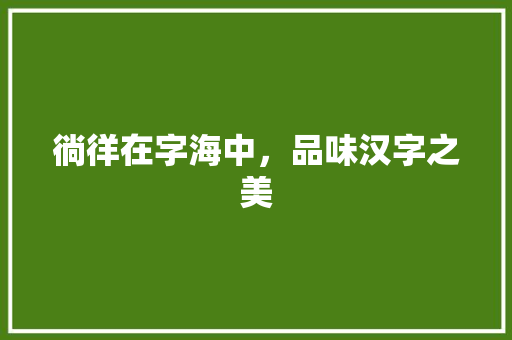 徜徉在字海中，品味汉字之美 职场应用