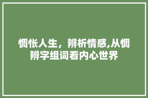 惆怅人生，辨析情感,从惆辨字组词看内心世界