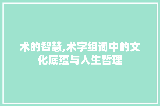 术的智慧,术字组词中的文化底蕴与人生哲理