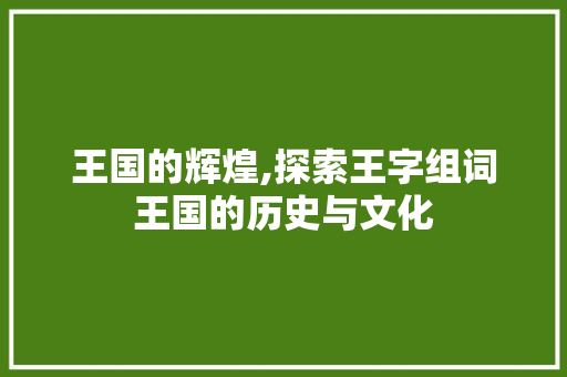 王国的辉煌,探索王字组词王国的历史与文化
