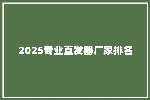 2025专业直发器厂家排名