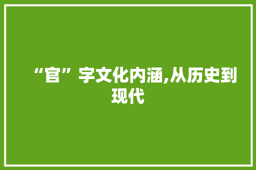 “官”字文化内涵,从历史到现代