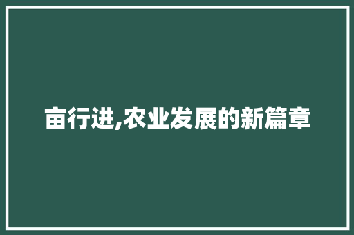 亩行进,农业发展的新篇章