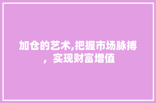 加仓的艺术,把握市场脉搏，实现财富增值