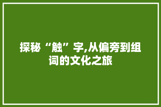 探秘“触”字,从偏旁到组词的文化之旅