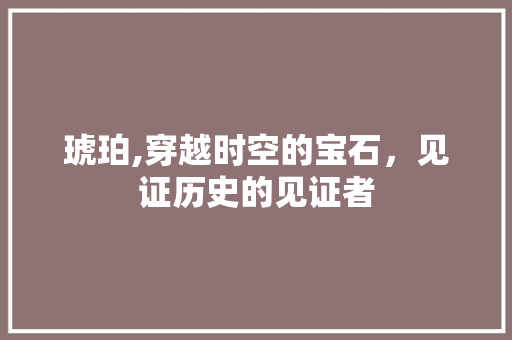 琥珀,穿越时空的宝石，见证历史的见证者