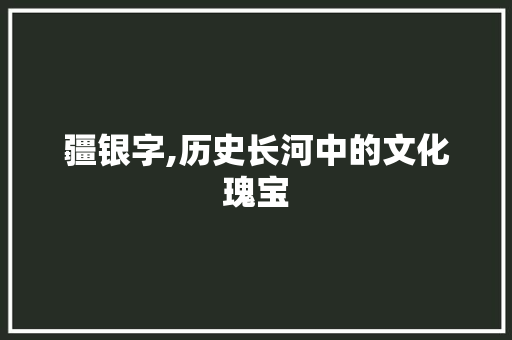 疆银字,历史长河中的文化瑰宝