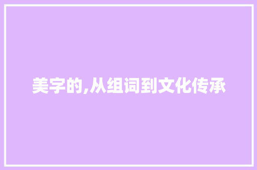 美字的,从组词到文化传承