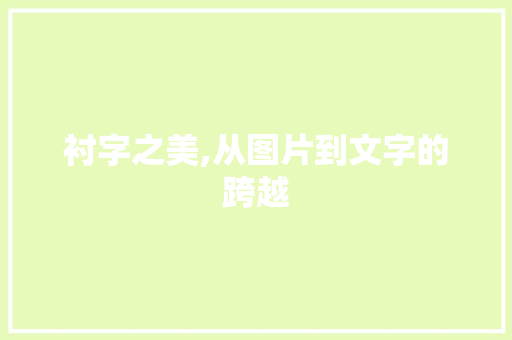 衬字之美,从图片到文字的跨越 项目管理范文