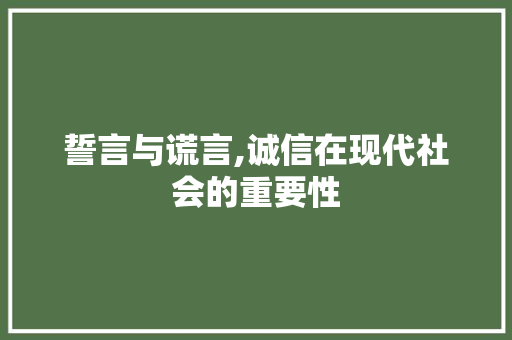 誓言与谎言,诚信在现代社会的重要性