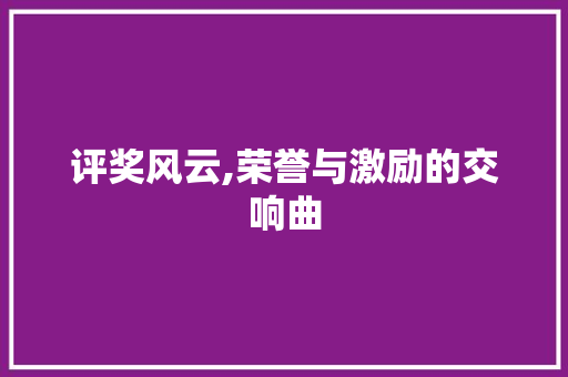 评奖风云,荣誉与激励的交响曲