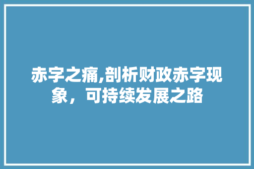赤字之痛,剖析财政赤字现象，可持续发展之路