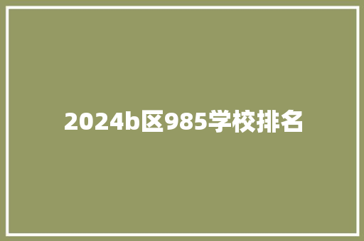 2024b区985学校排名