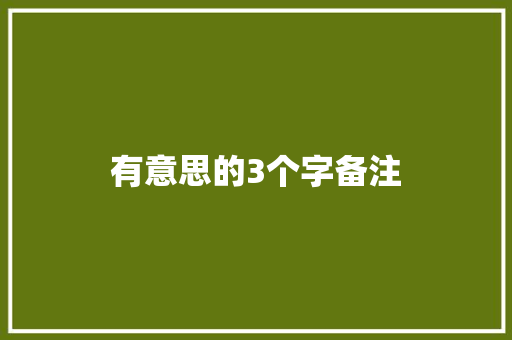 有意思的3个字备注