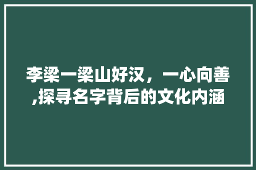 李梁一梁山好汉，一心向善,探寻名字背后的文化内涵_李梁一名字的意思